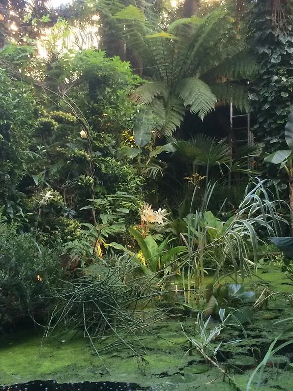 Garden Suite Centre Amsterdam 3*,  Nederland